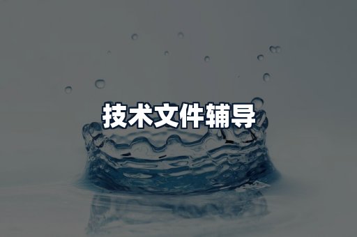 技术文件辅导